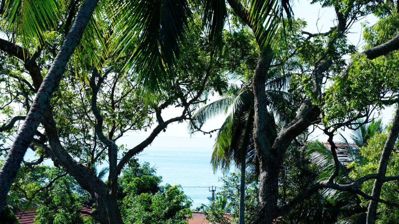Sea Bay Inn Tangalle Extérieur photo