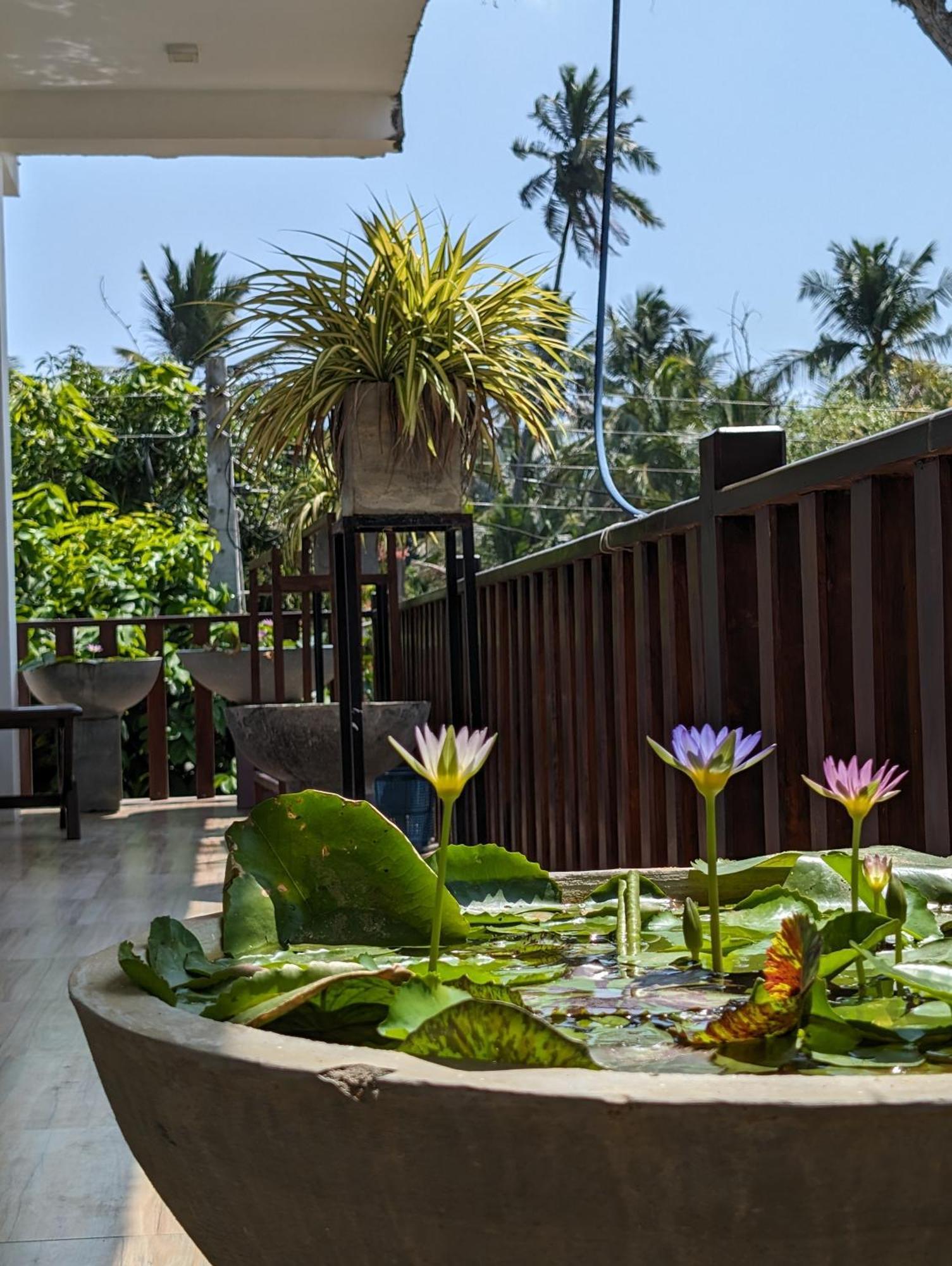 Sea Bay Inn Tangalle Extérieur photo